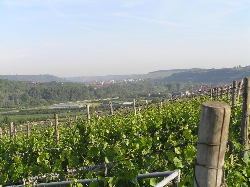 Am Alten Berg