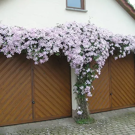 Ferienwohnung Am Alten Berg Ochsenfurt Exterior photo