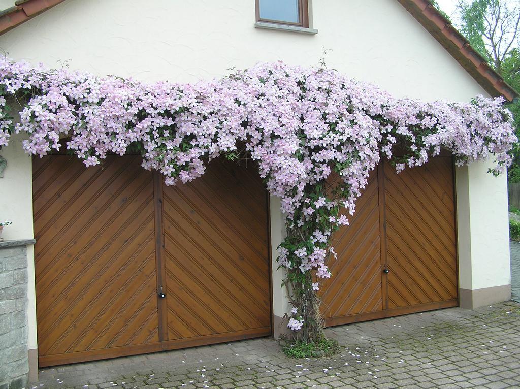 Am Alten Berg Apartment *